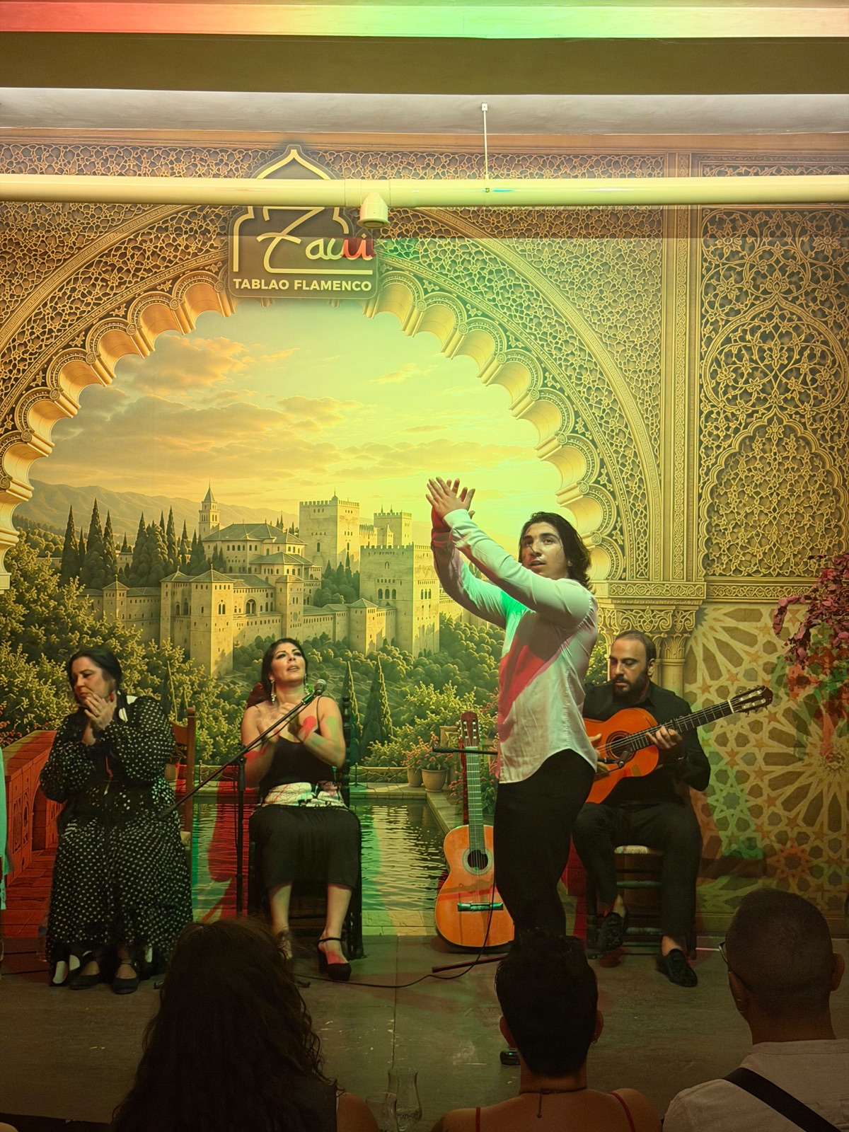 Cuadro flamenco actuando en Zawi